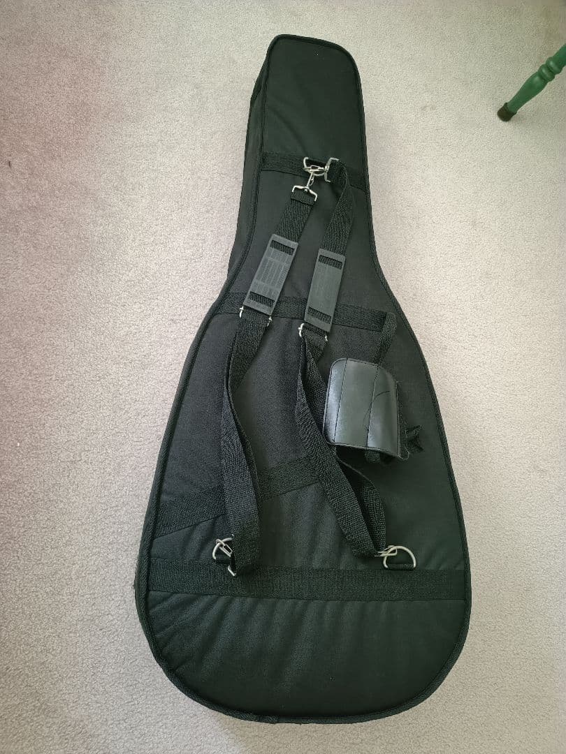 Ayers OSR アコースティックギター