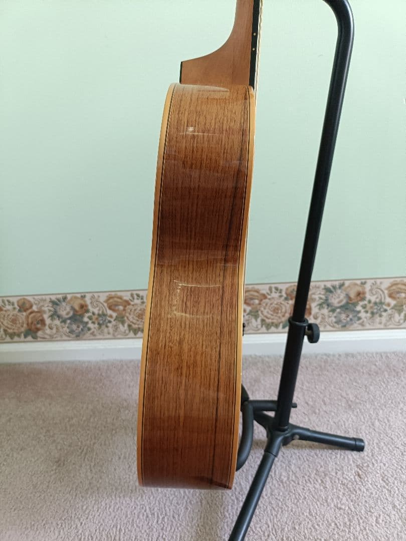 Ayers OSR アコースティックギター