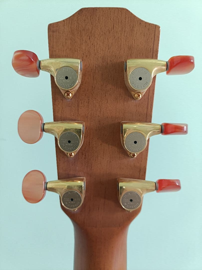 Ayers OSR アコースティックギター