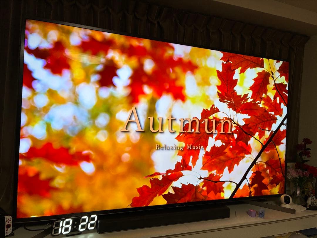 【ムカイです】SONY BRAVIA 85V KJ-85X9500G