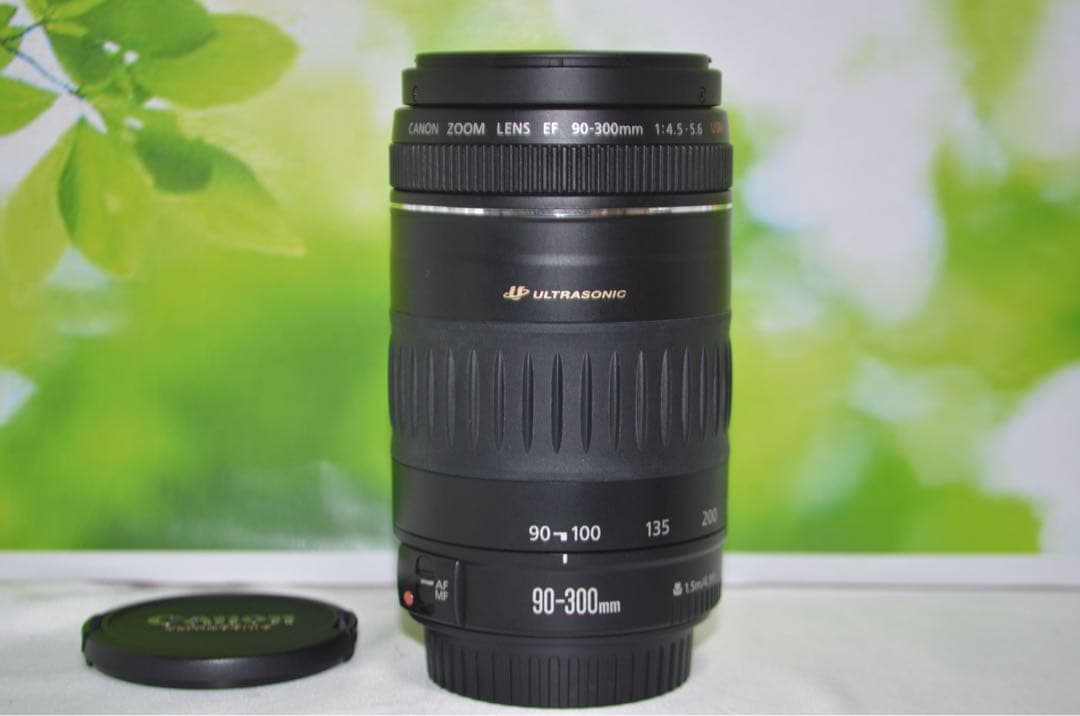 ★極美品★一眼用 超迫力望遠レンズ キヤノン EF90-300mm Canon