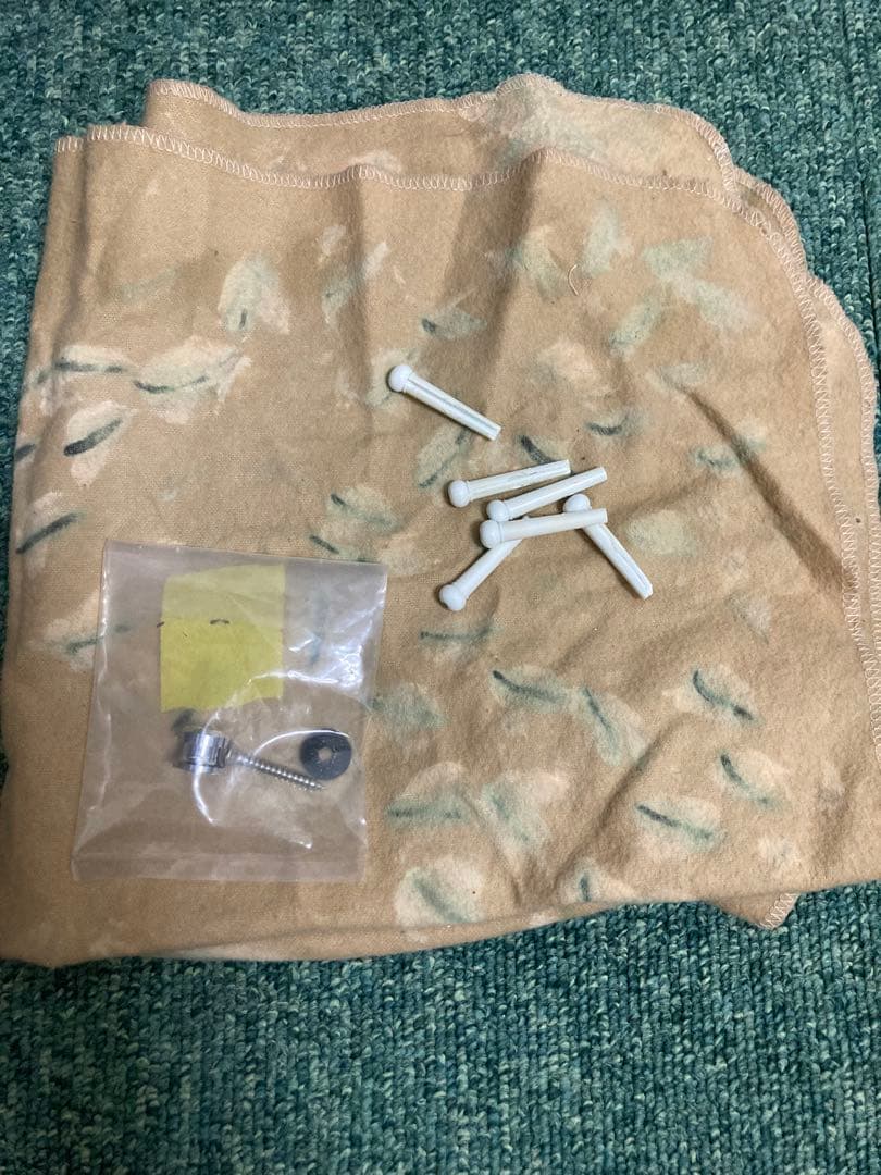 seagull amber trail cw folk sg eq アコギ