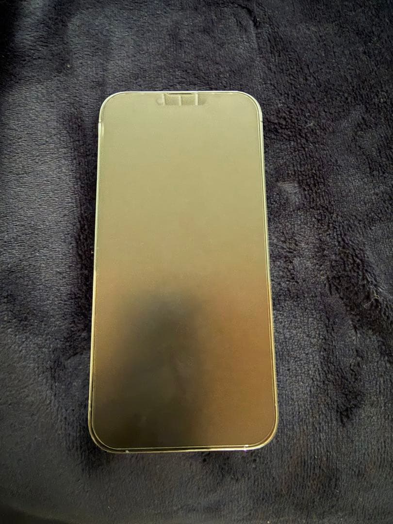 や*ん様 Apple iPhone 13 Pro Max 256GB ブルー