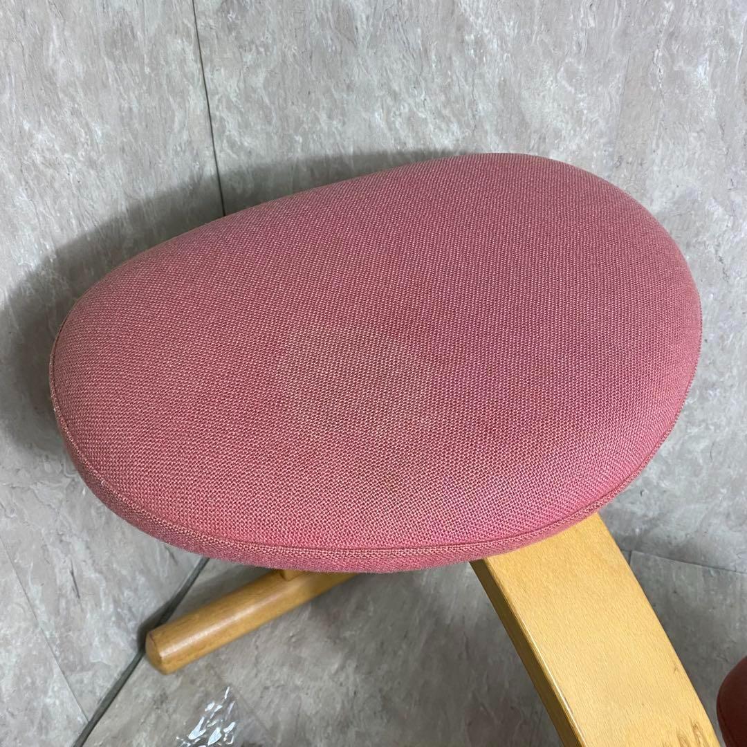 Rybo リボ社 Balans Easy バランスイージー ピンク 新品カバー付