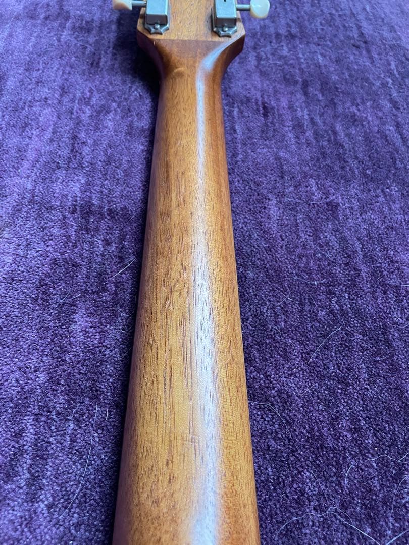 Zemaitis CAM-60H ゼマイティス 布袋 hisashi ハート