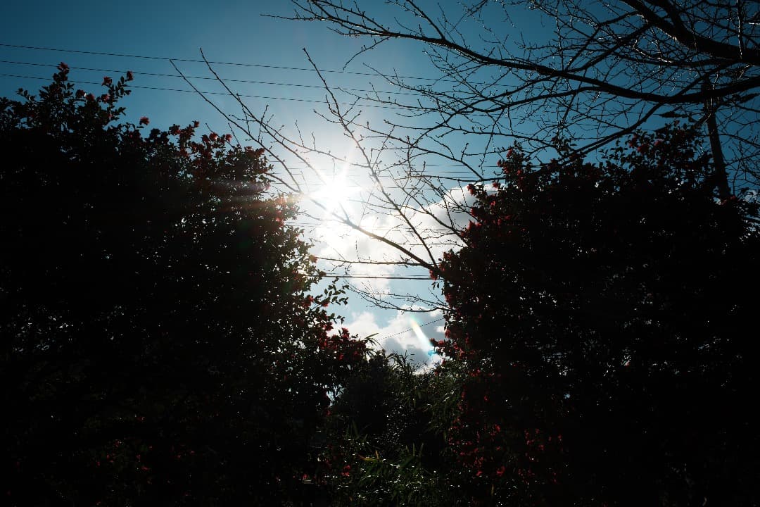 【整備＆テスト】オリンパス Zuiko auto-w 28mm F2.8 182