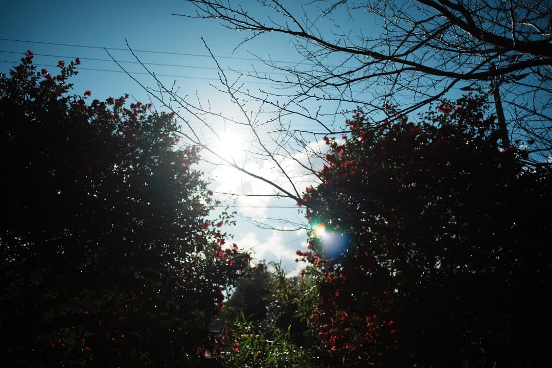 【整備＆テスト】オリンパス Zuiko auto-w 28mm F2.8 182