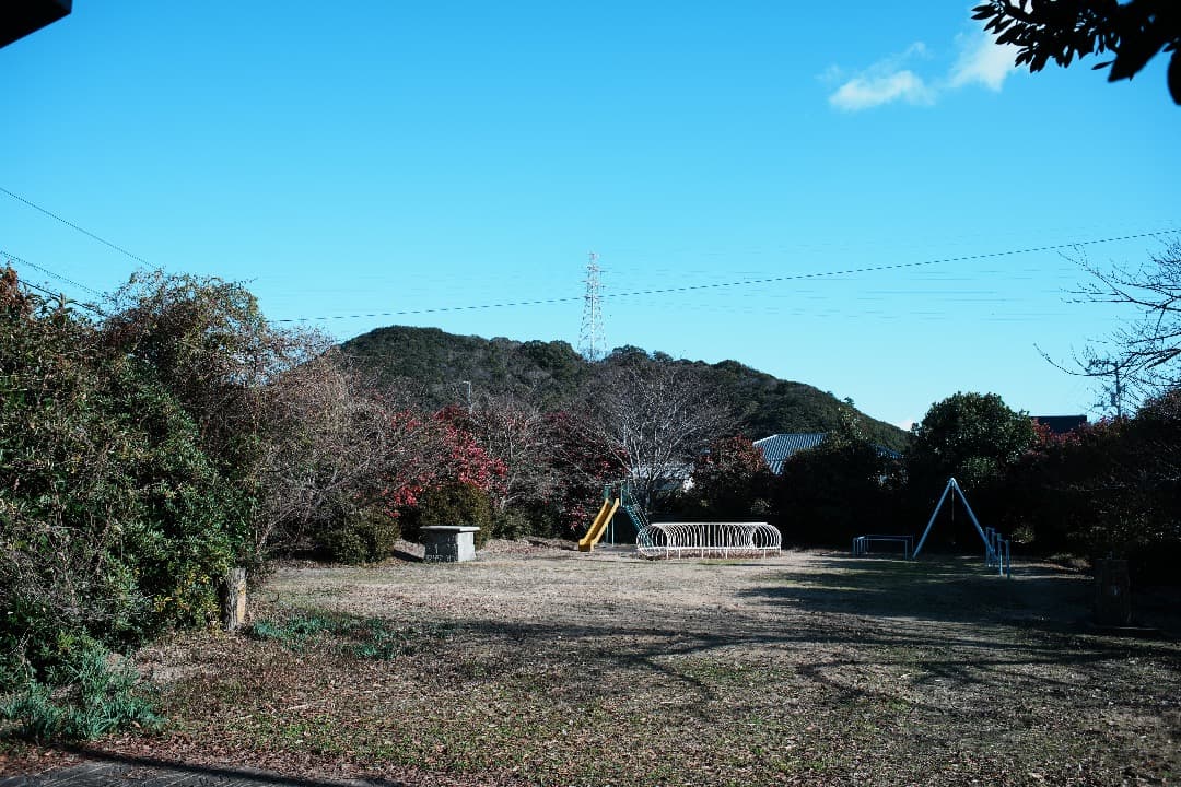 【整備＆テスト】オリンパス Zuiko auto-w 28mm F2.8 182