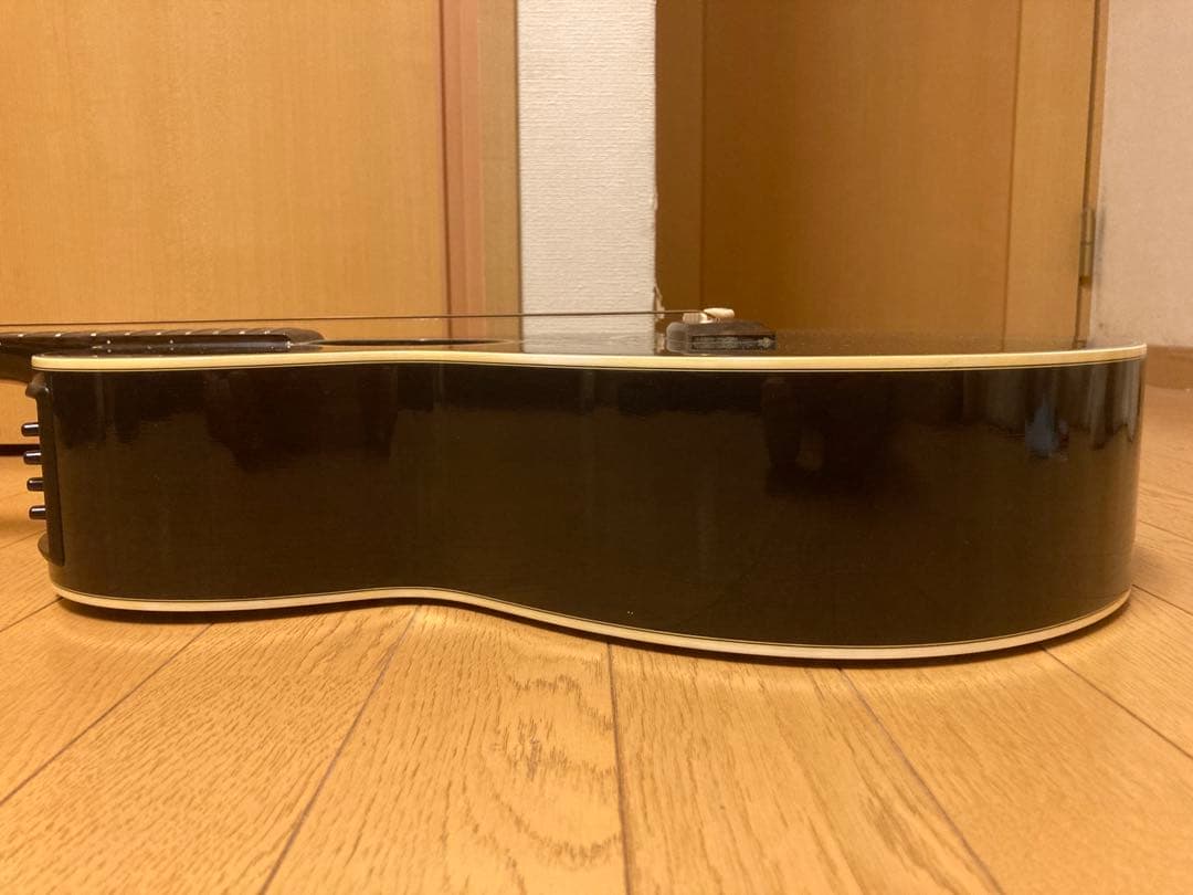 エレアコ　Takamine PT106