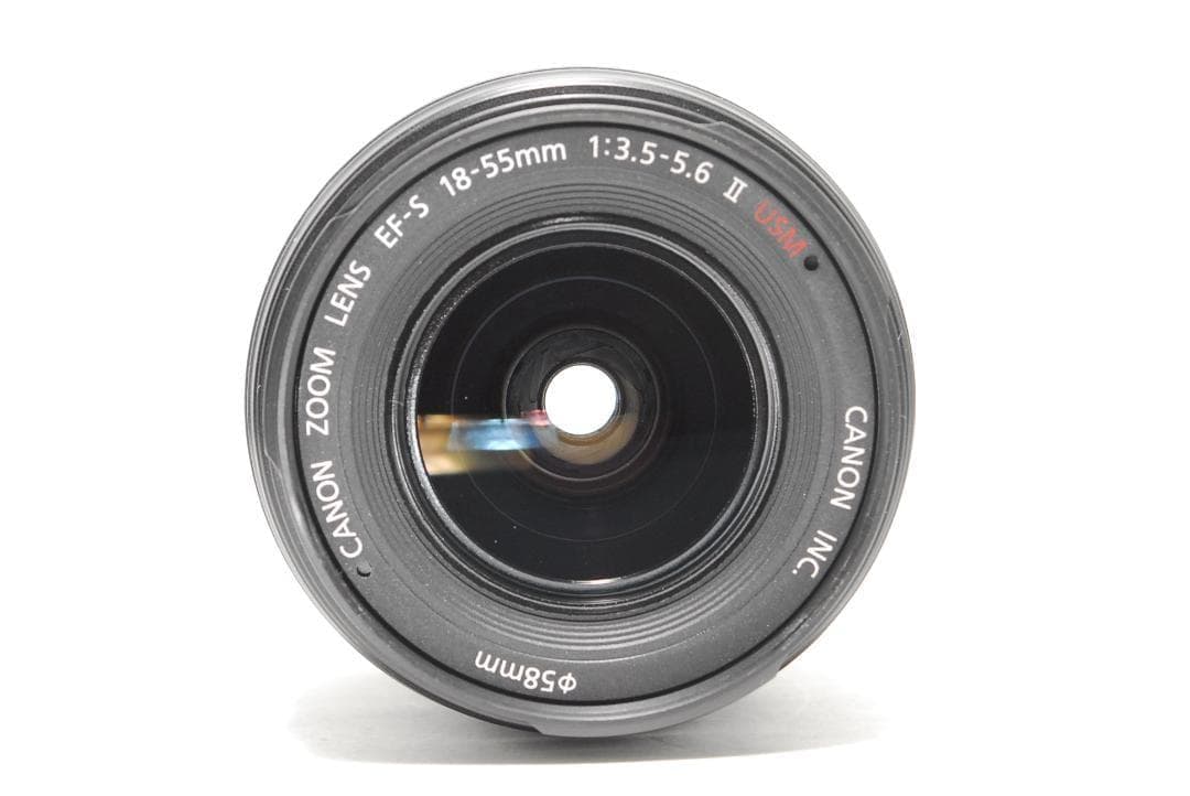 ダブルレンズで近くも遠くも　Canon 60D　スマホ転送　バリアングル液晶