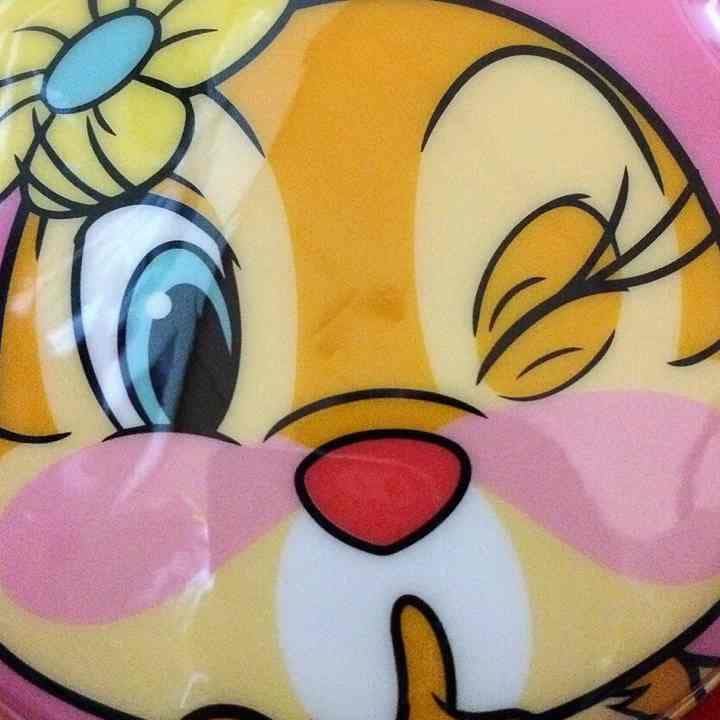 レンズ(単焦点) makaroni