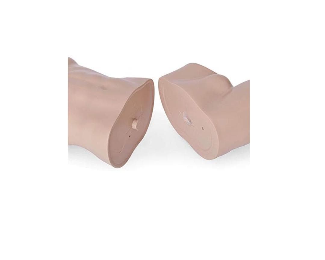 全身マネキン・トルソー メンズ 185㎝ - ダイセイ