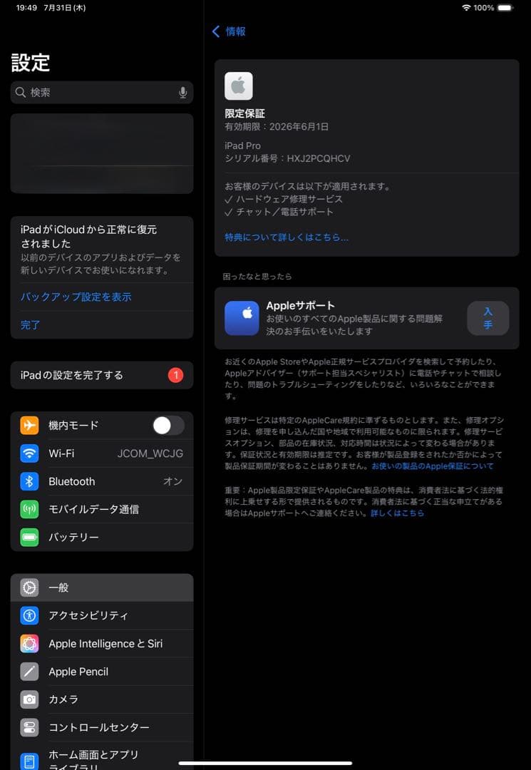 11インチiPadPro (M4)WiFi＋Cellular 256GB