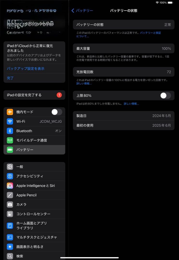 11インチiPadPro (M4)WiFi＋Cellular 256GB