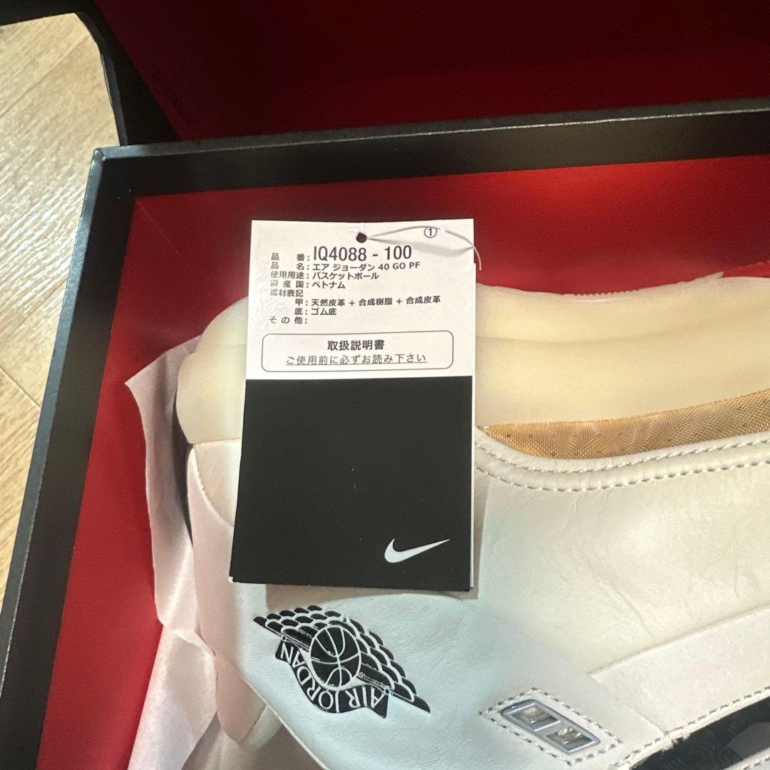 シューズ(男性用) AIR JORDAN 40 GO PF 10 (US)