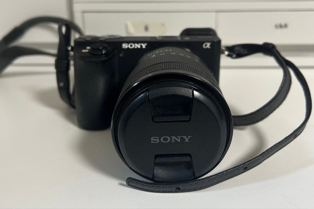 Sony α6500 ミラーレス一眼 E 18-135mm