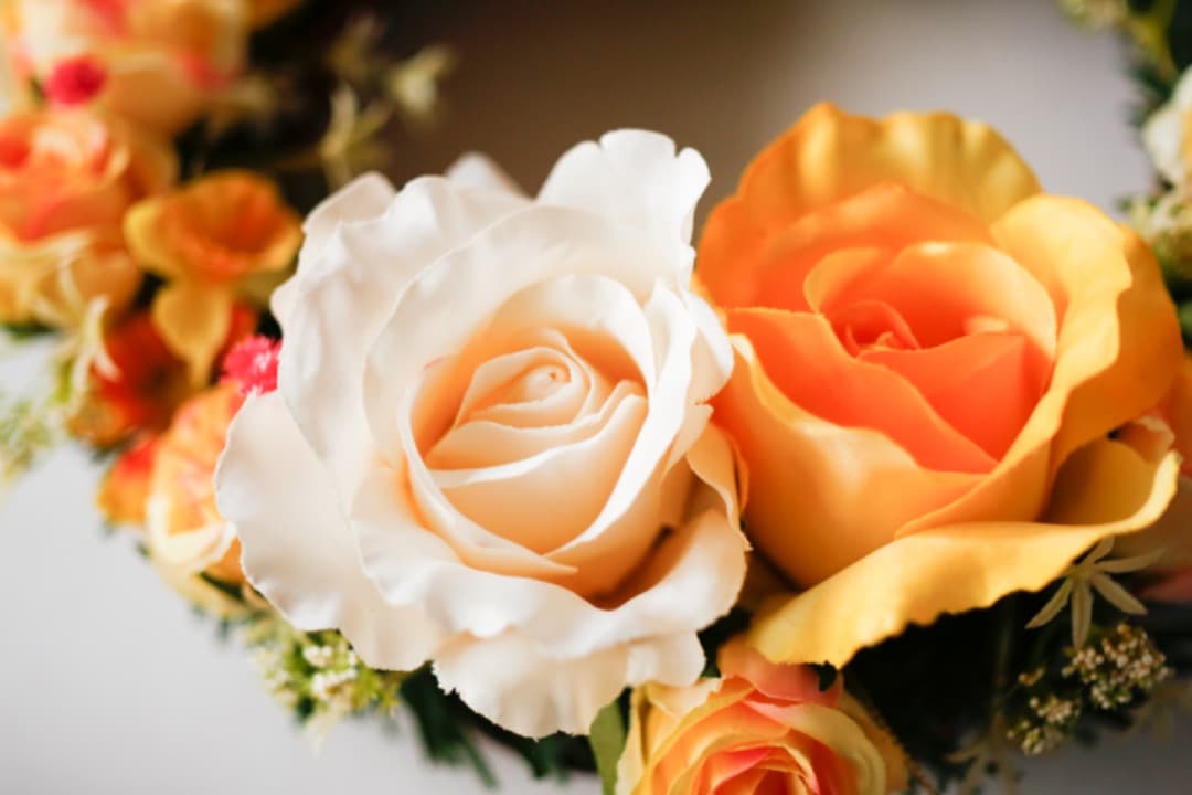 レンズ(単焦点) CARL ZEISS JENA TESSAR 50mm f2.8 /M42 #3