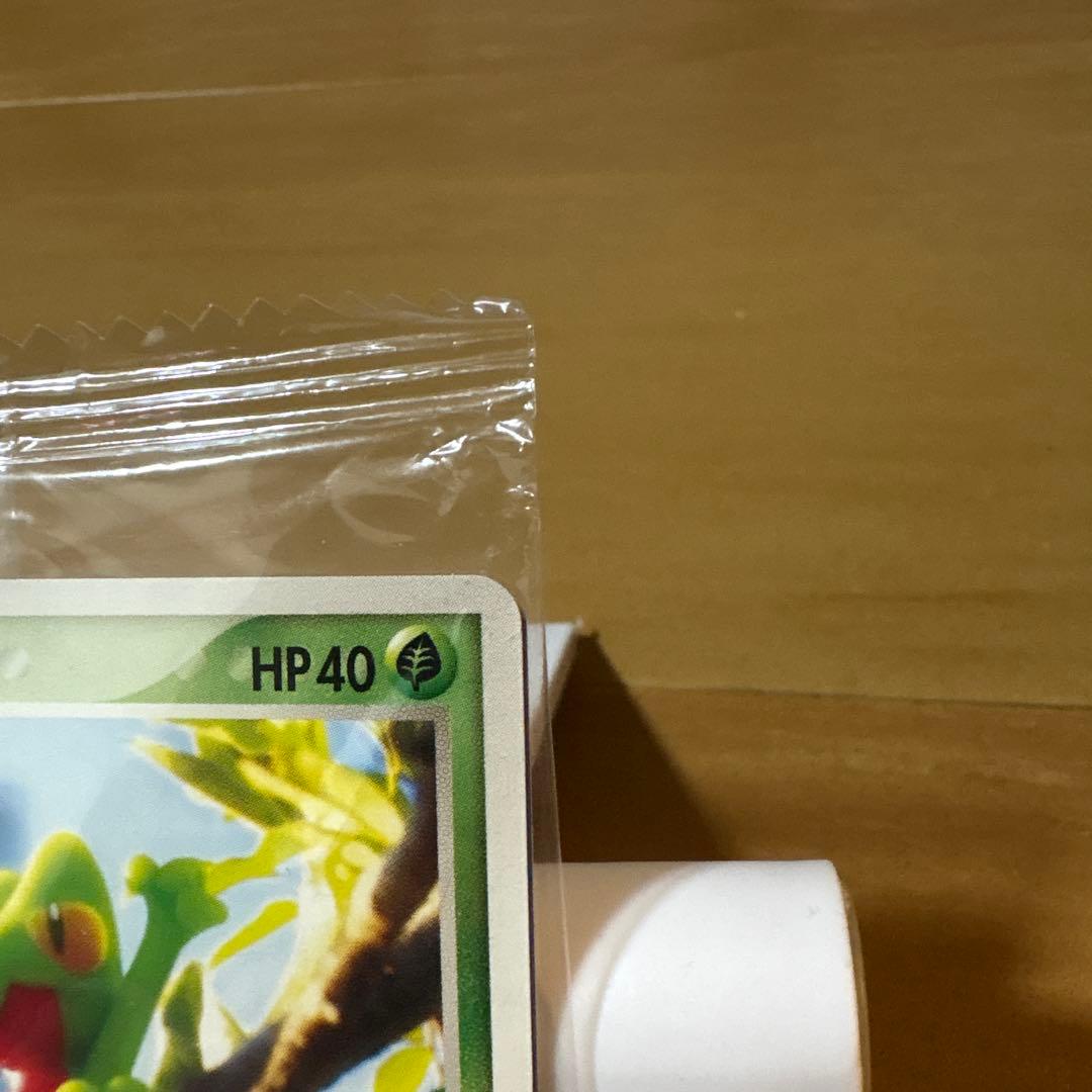 ポケモンカード　キモリ PROMO PCG-Pプロモカード 037/PCG-P