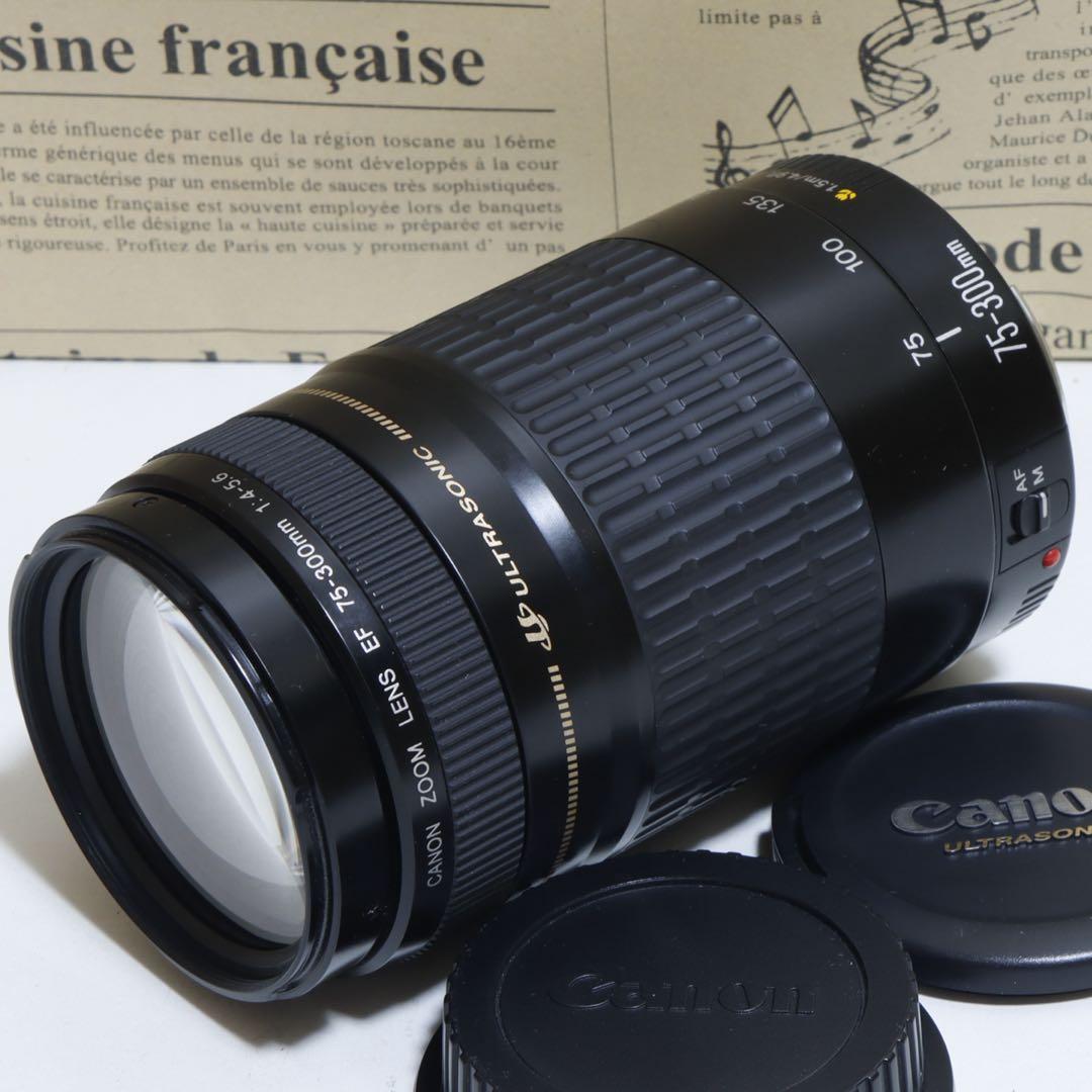 ◇超望遠&高速AF◇Canon純正 75-300mm I 超望遠レンズ!!◇