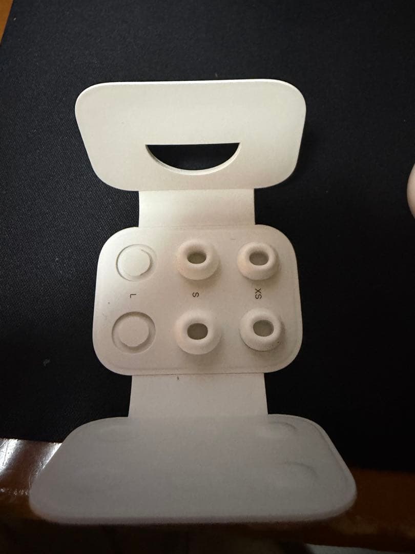 イヤホン Apple AirPods Pro 2 Lightning