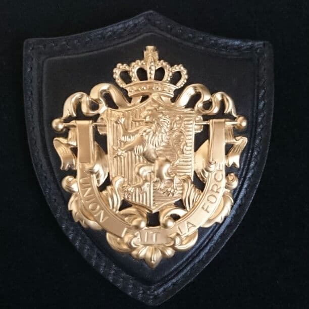 miu miu ブローチ