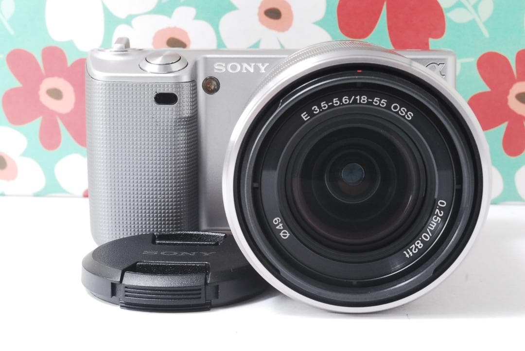 ❤お散歩カメラ❤ミラーレス❤SONY NEX-5❤スマホに送れる❤