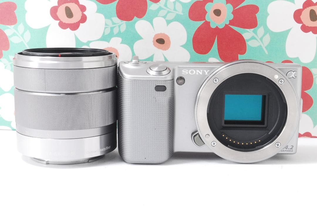 ❤お散歩カメラ❤ミラーレス❤SONY NEX-5❤スマホに送れる❤