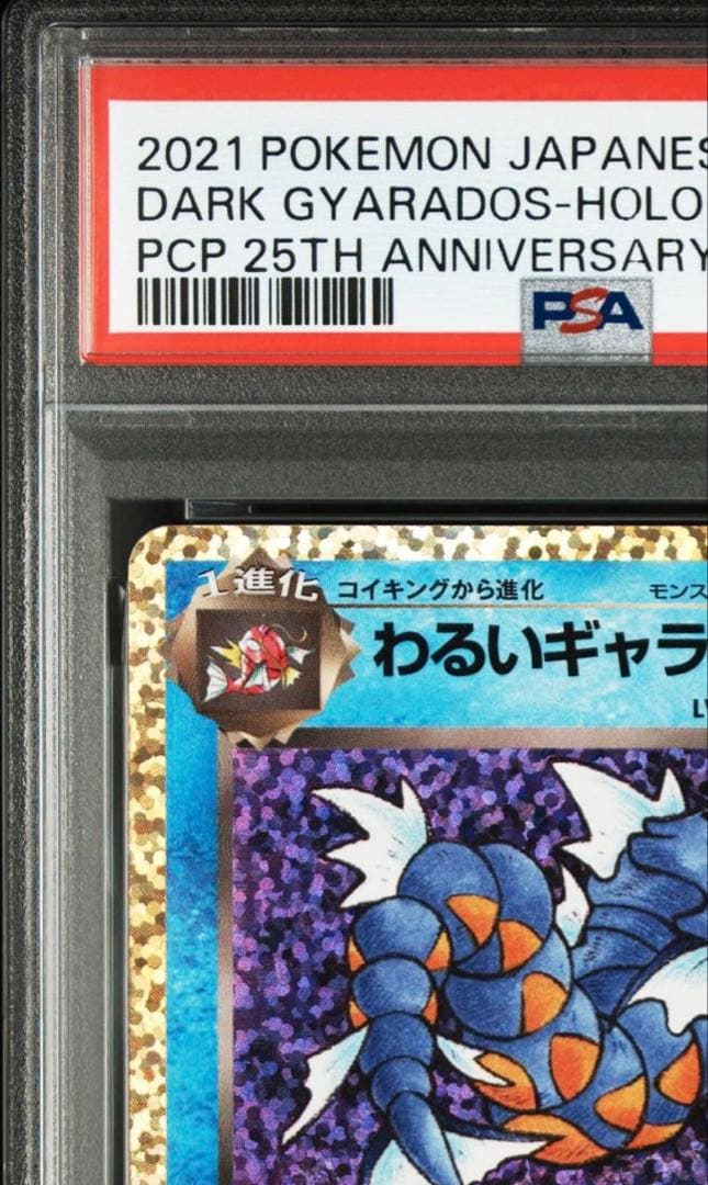 わるいギャラドス25th