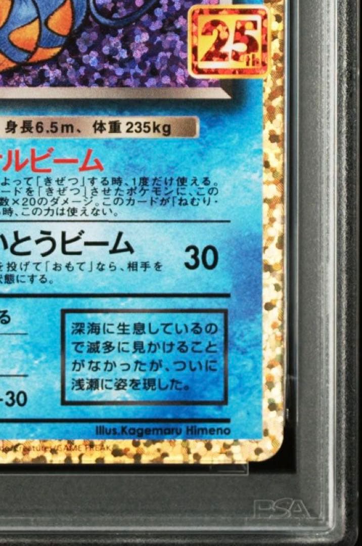 わるいギャラドス25th