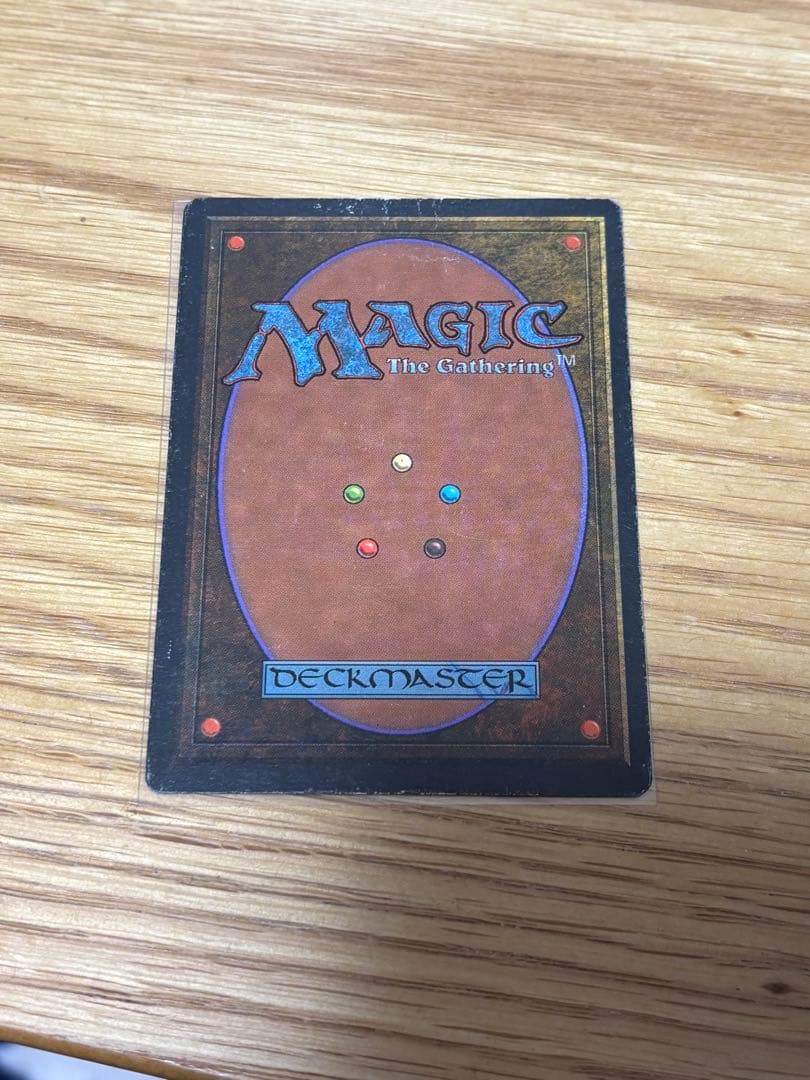 MTG Scrubland FBB フランス語