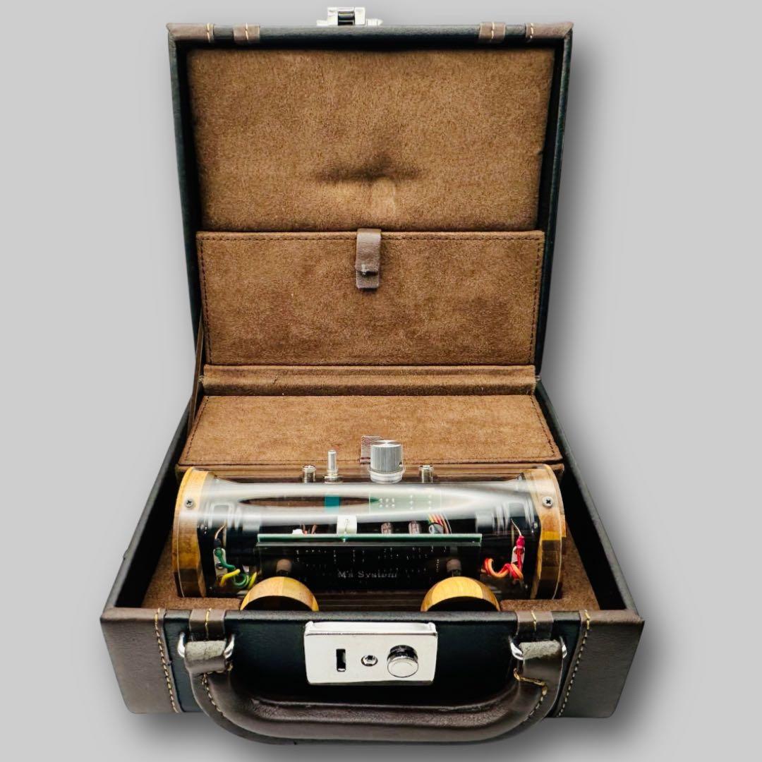 未使用 エムズシステム M’s System 波動スピーカー スケルトン