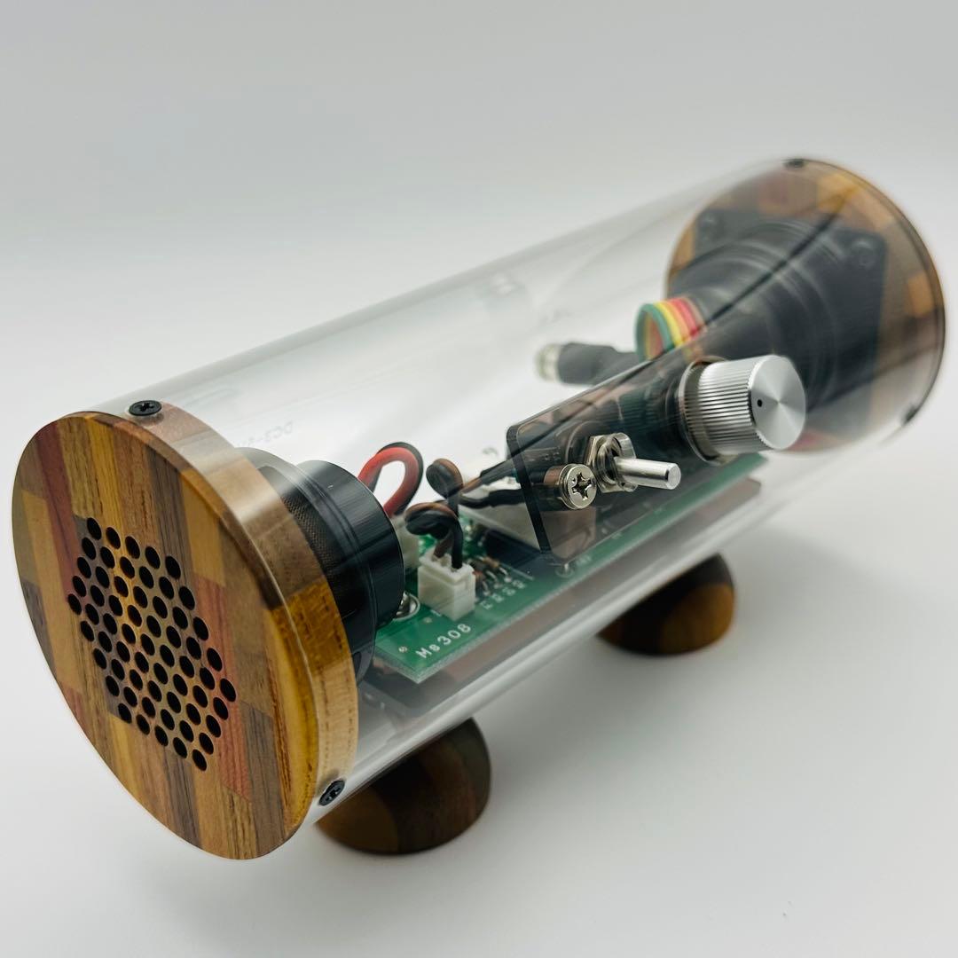 未使用 エムズシステム M’s System 波動スピーカー スケルトン