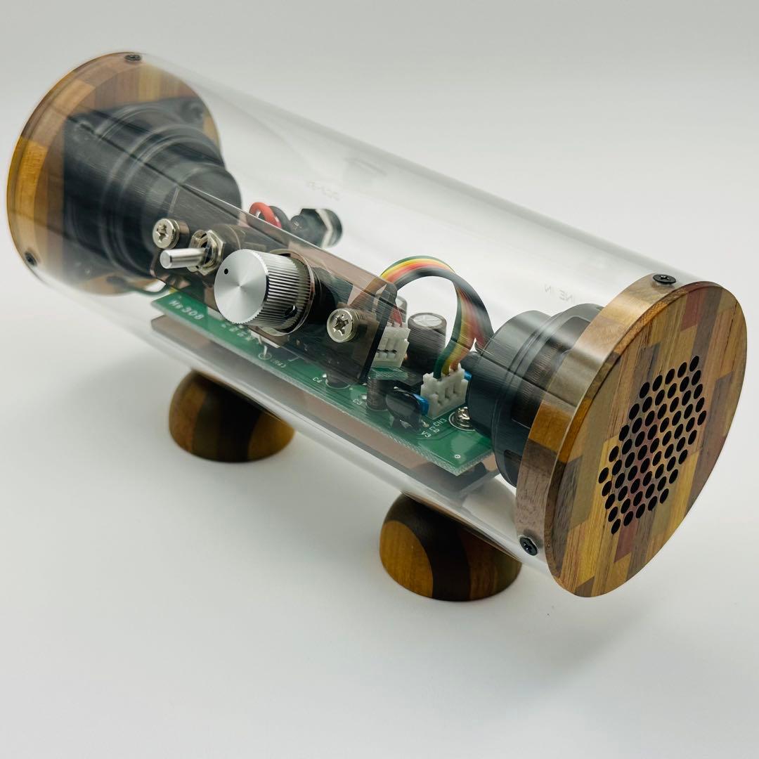 未使用 エムズシステム M’s System 波動スピーカー スケルトン