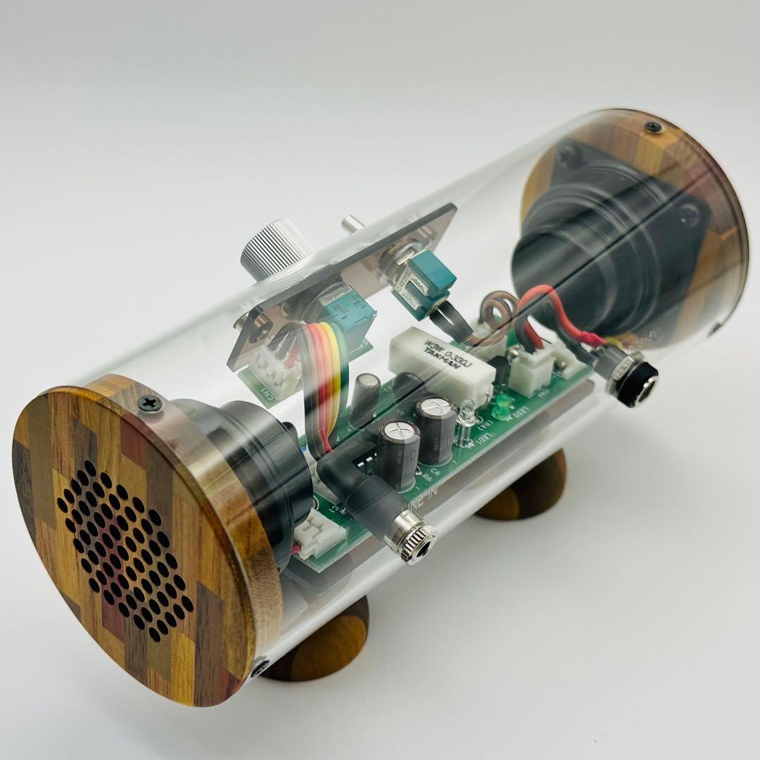 未使用 エムズシステム M’s System 波動スピーカー スケルトン