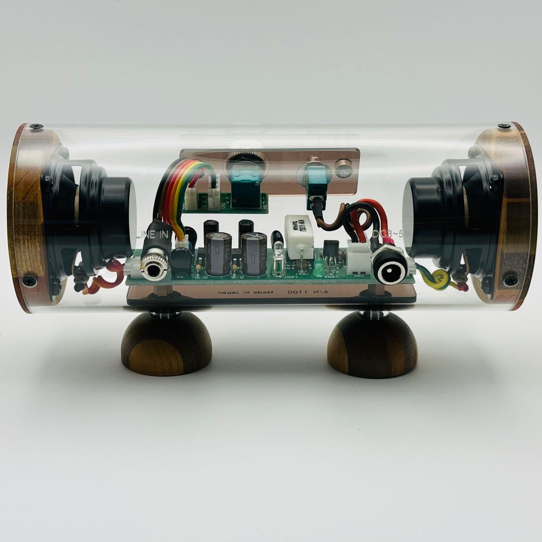 未使用 エムズシステム M’s System 波動スピーカー スケルトン