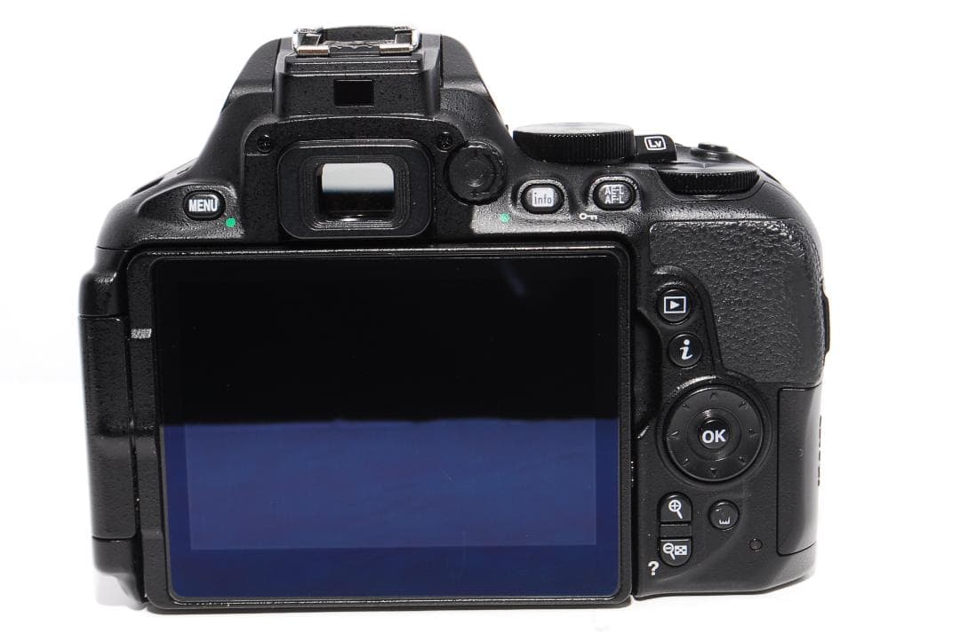 ✨Bluetooth搭載でスマホ転送可能✨Nikon D5600 レンズセット