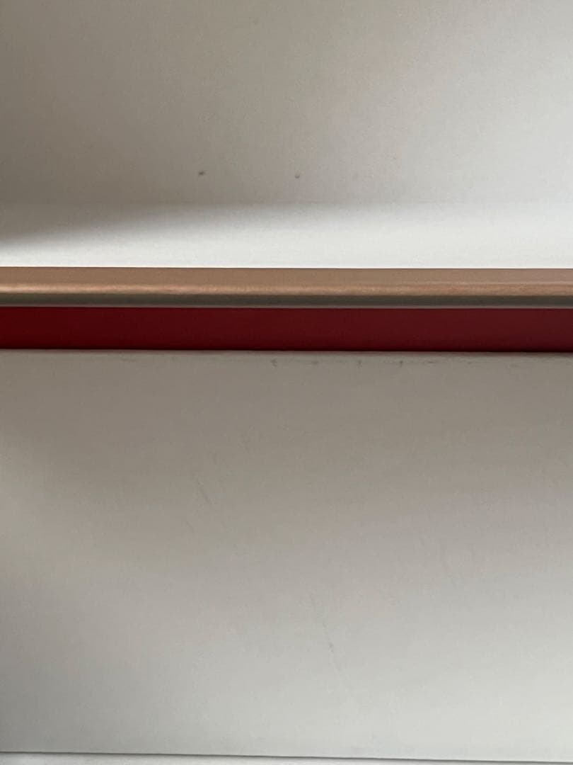 クラシック VLADIMIR HOROWITZ Live at CARNEGIE HALL