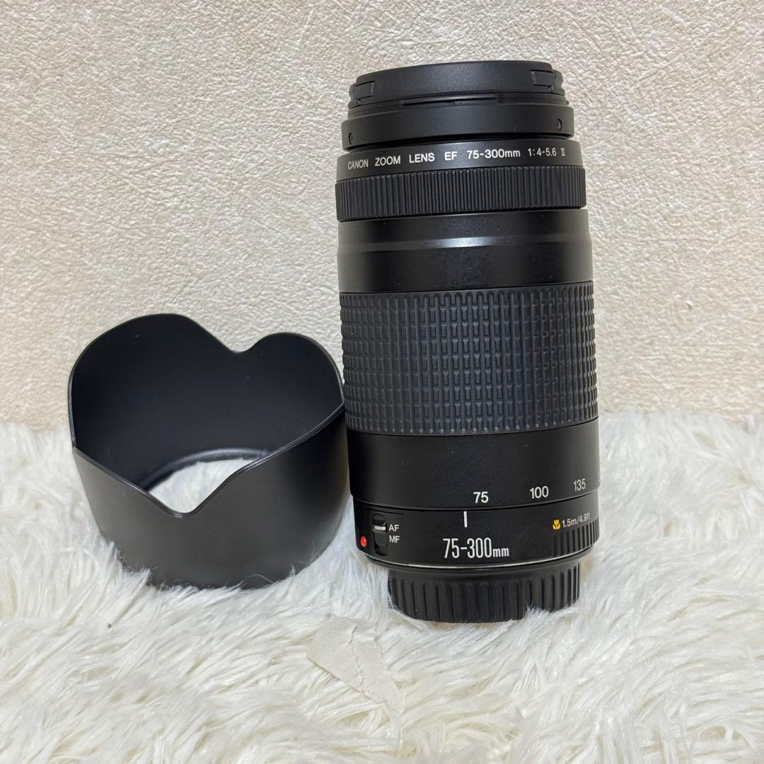 ⭐️完動品⭐️キャノン Canon EF 75-300mm F/4-5.6 II
