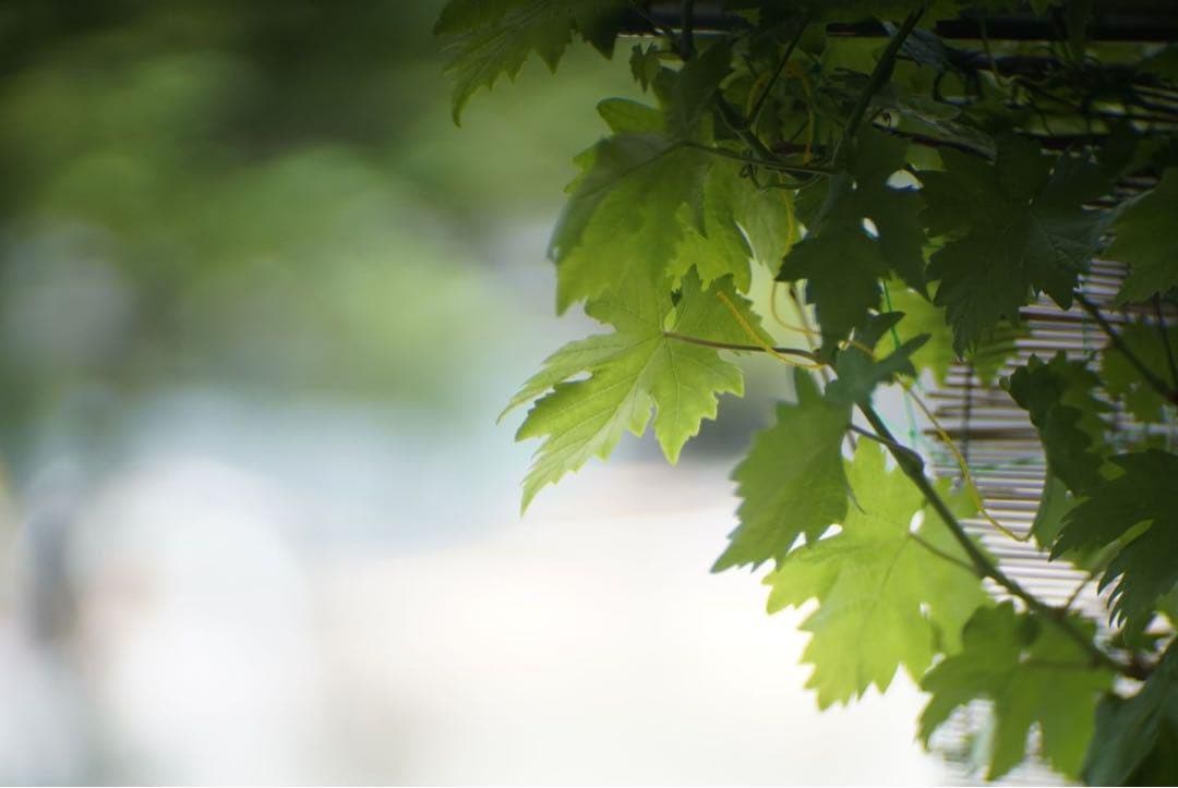 レンズ(単焦点) LOMO KO-140M 100mm f1.8 Petzval 8