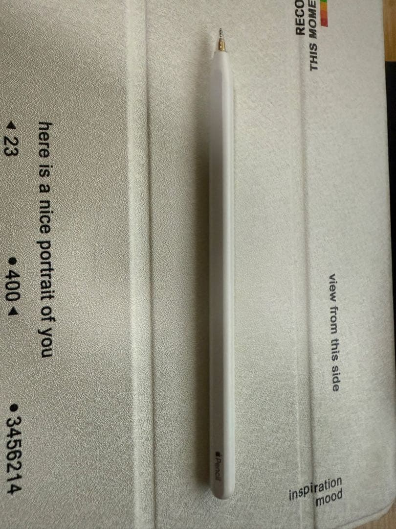 Ipad pro 11 （第3世代) 256gb