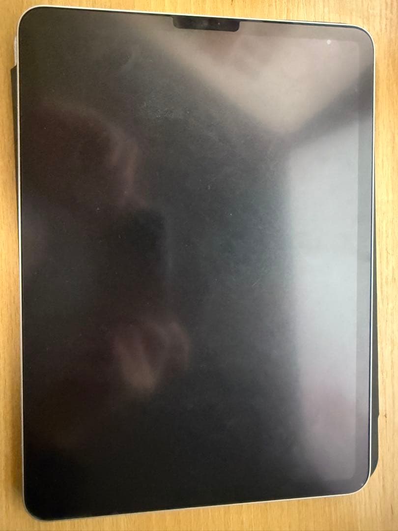 Ipad pro 11 （第3世代) 256gb