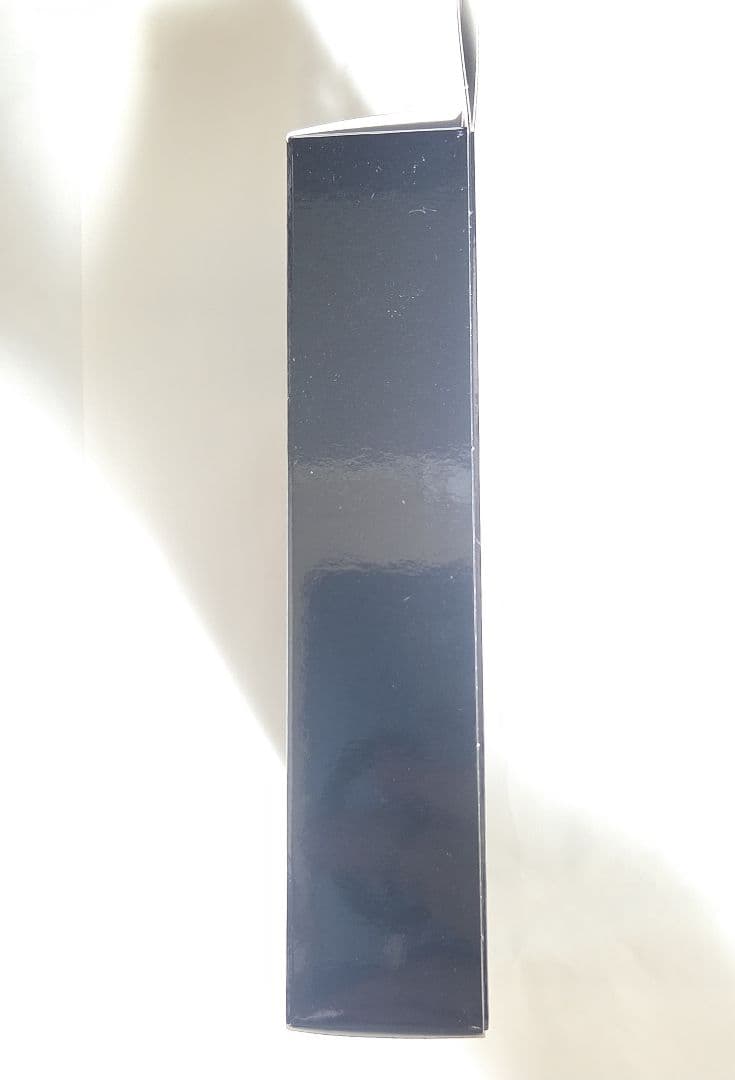 【新品未開封】 Maestraudio MAPro1000 II イヤホン