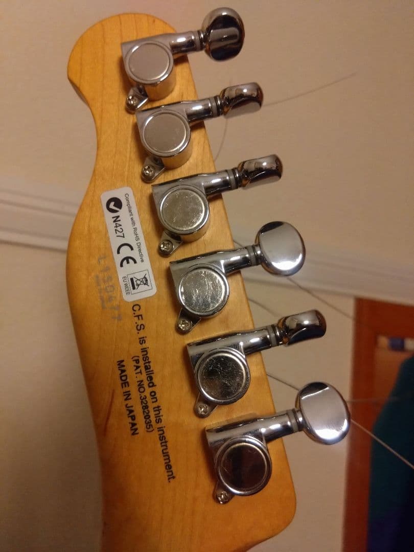 FGN JTL6R テレキャスタータイプ 富士弦