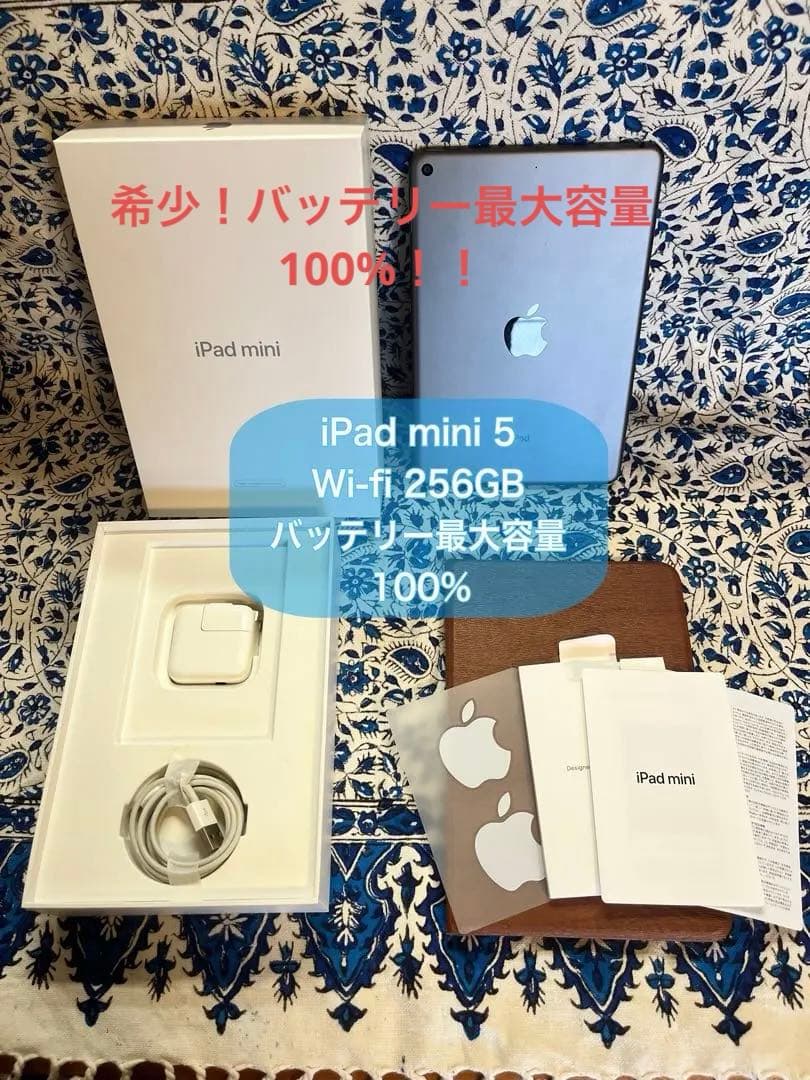 【美品】iPad mini 第5世代 Wi-Fi 256GB スペースグレー