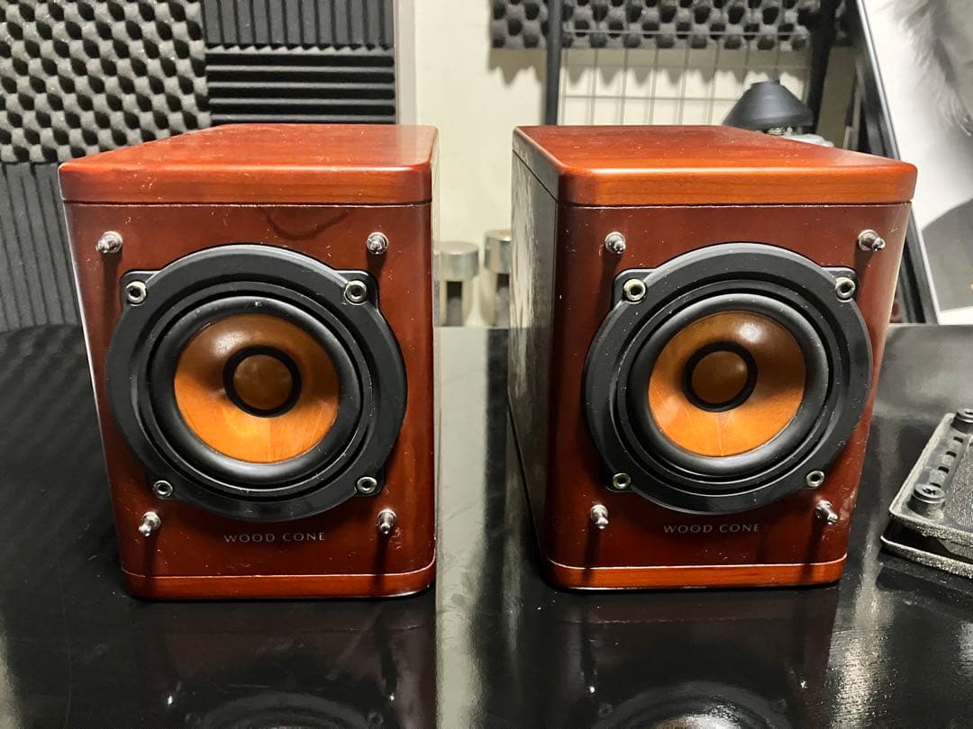 Victor SP-EAXA1 Victor 初代ウッドコーンスピーカー