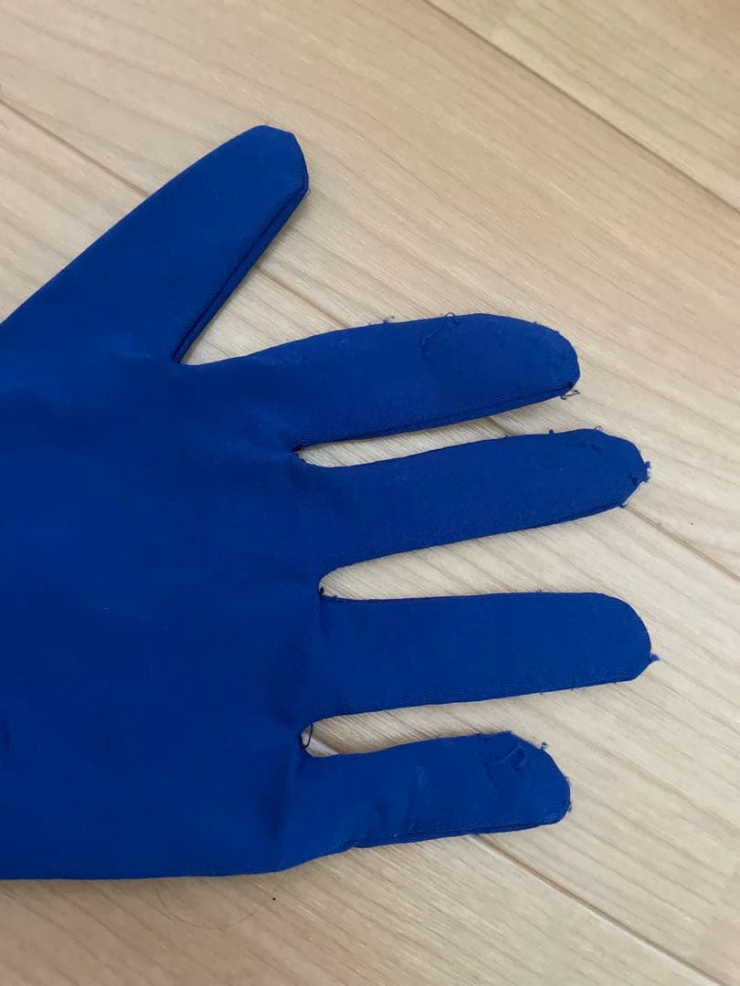 ハートキャッチプリキュア! キュアムーンライト　Lサイズウィッグ付