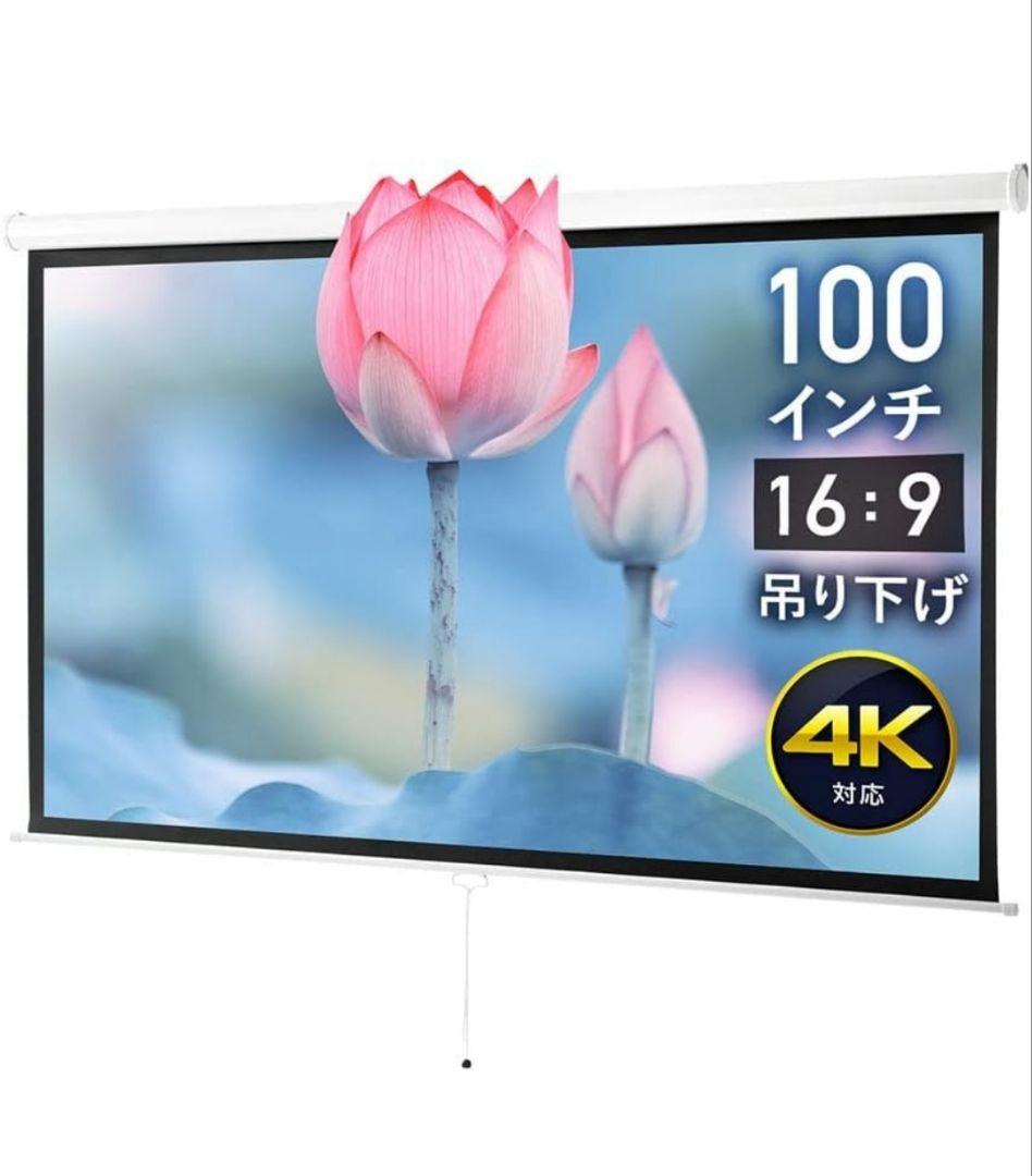 イーサプライ プロジェクタースクリーン 100インチワイド