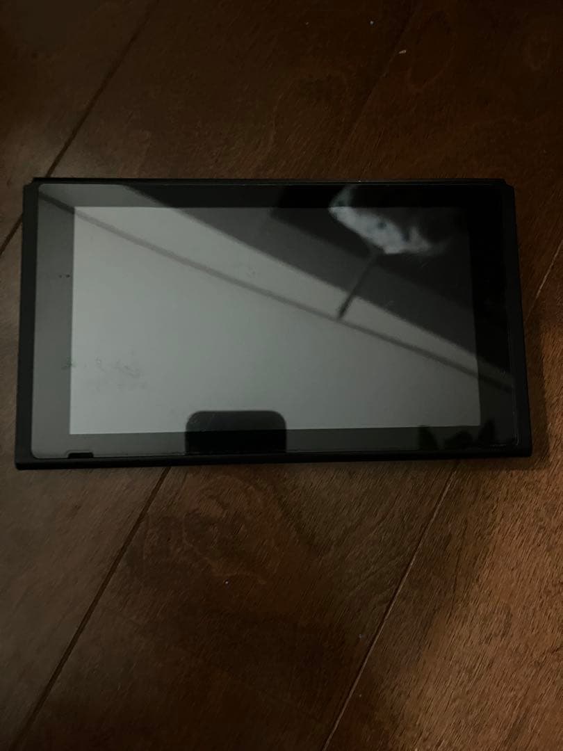 ※ジャンク Nintendo Switch プロコン