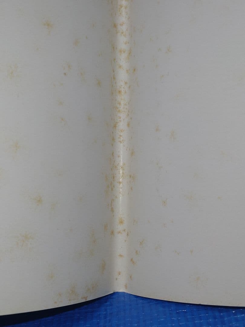 日本産クワガタムシ大図鑑　吉田賢治著　虫研