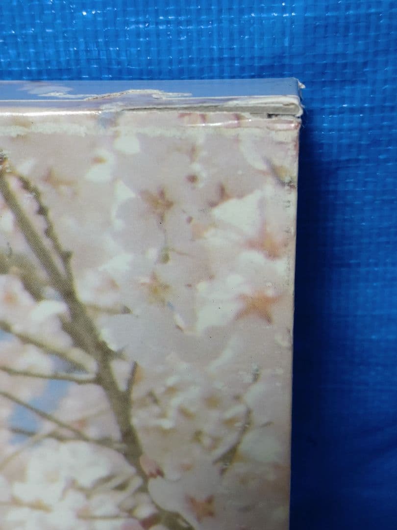 日本産クワガタムシ大図鑑　吉田賢治著　虫研